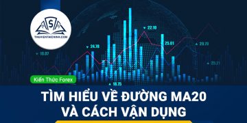 Đường MA20 là gì? Vận dụng đường MA20