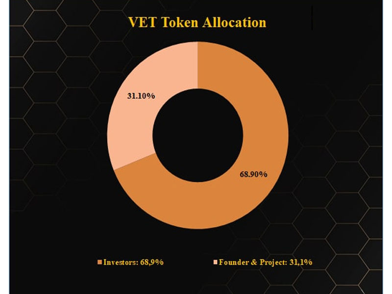 VET token allocation