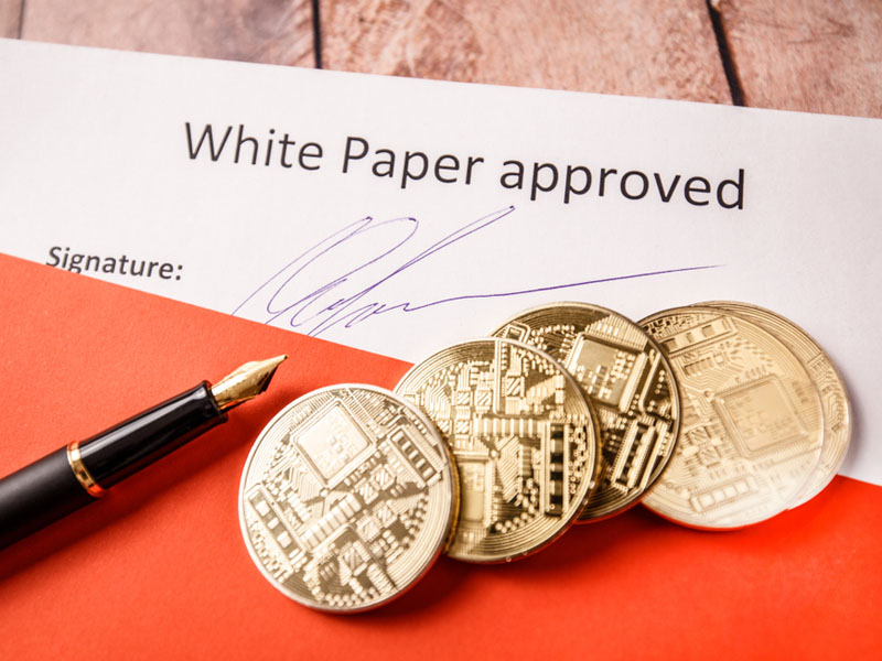 Nội dung của White Paper có gì?