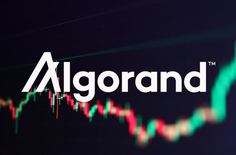 Đánh giá tiềm năng coin ALGO