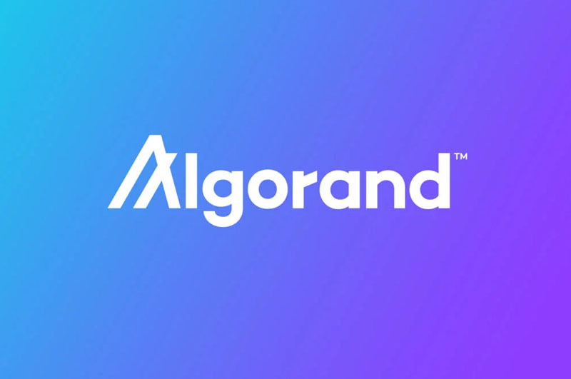 Những vấn đề Algorand giải quyết