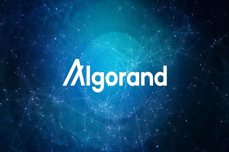 Điểm nổi bật của dự án Algorand