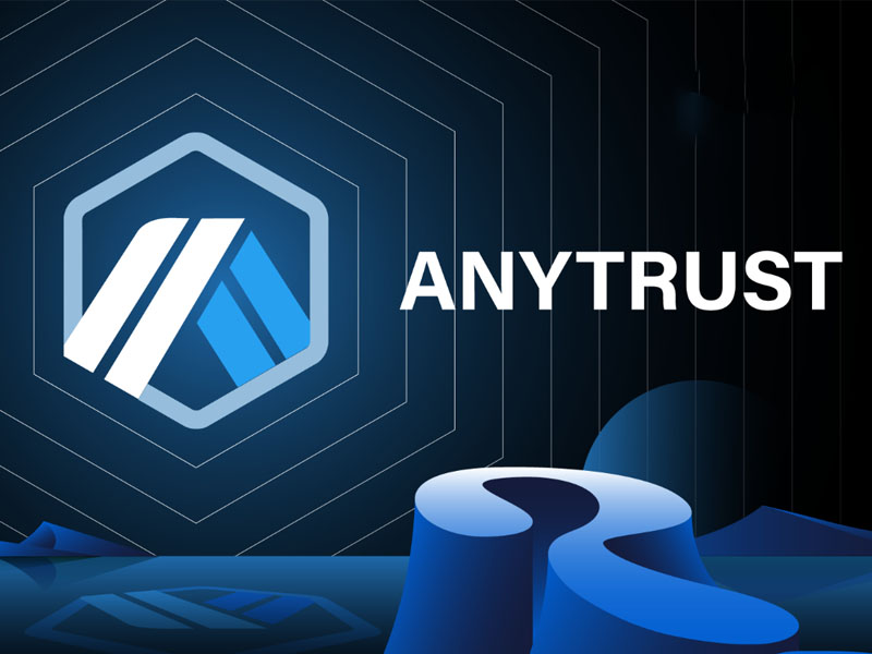 Lý do AnyTrust Chains ra đời?