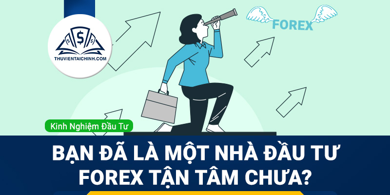 Bạn đã là một nhà đầu tư Forex tận tâm chưa?