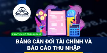 Bảng cân đối tài chính và báo cáo thu nhập của công ty