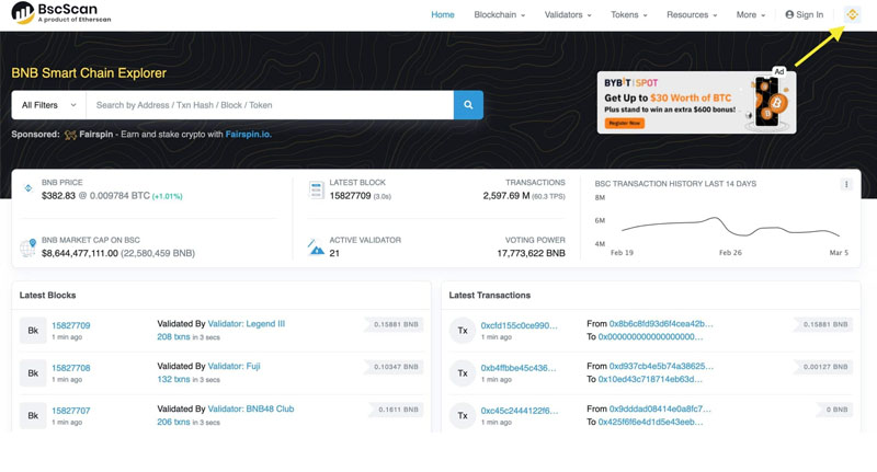 Mainnet hoặc Testnet để tham gia tìm kiếm.