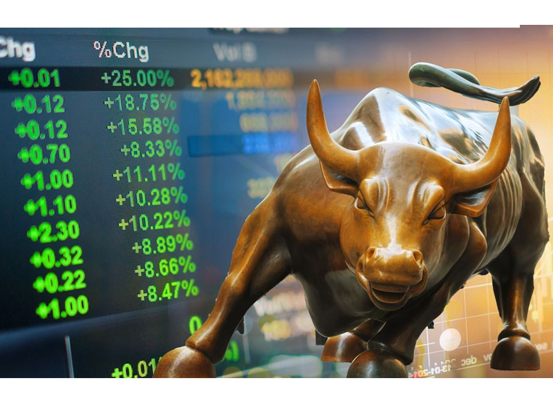 Bull Market