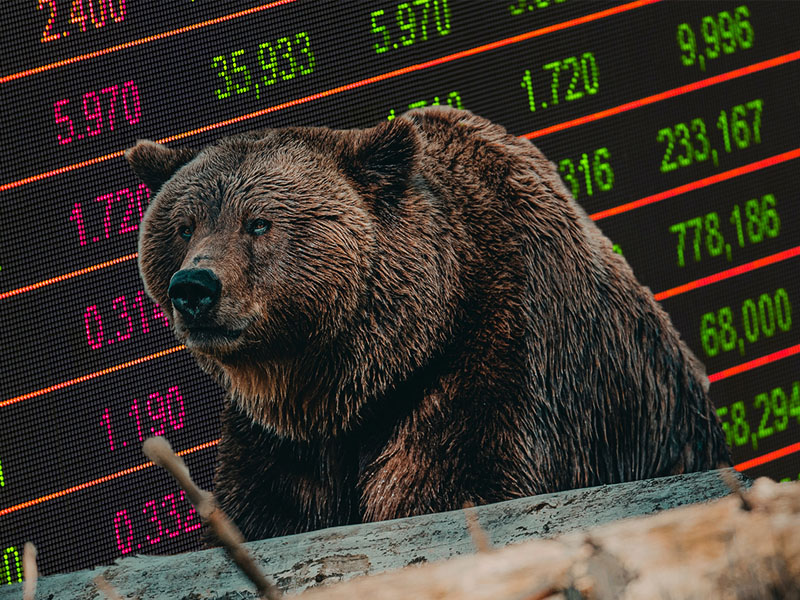 Bear Market