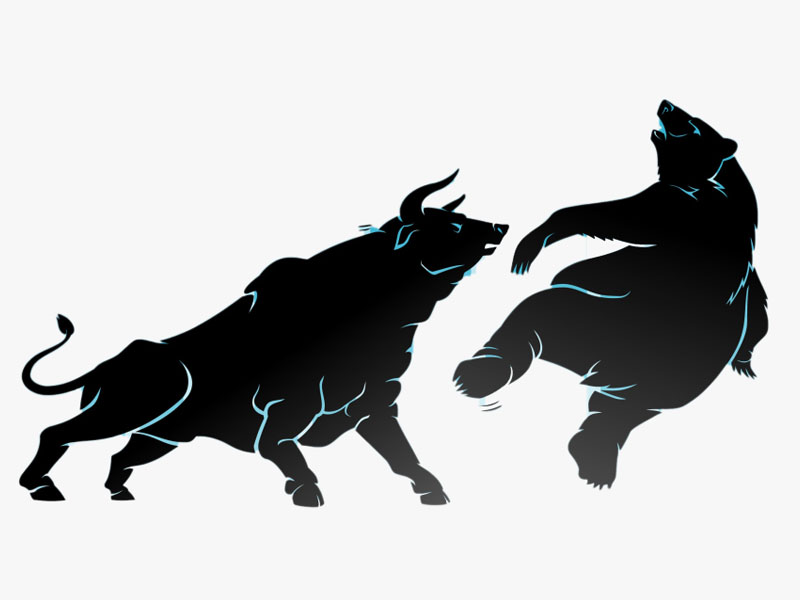 Bull Market và Bear Market là gì? Và sự khác nhau bạn nên biết