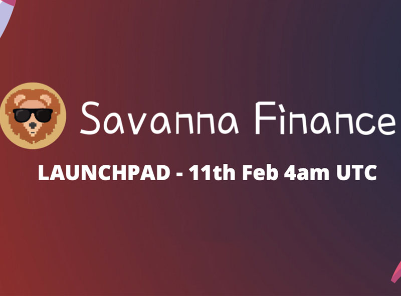 Savanna Finance