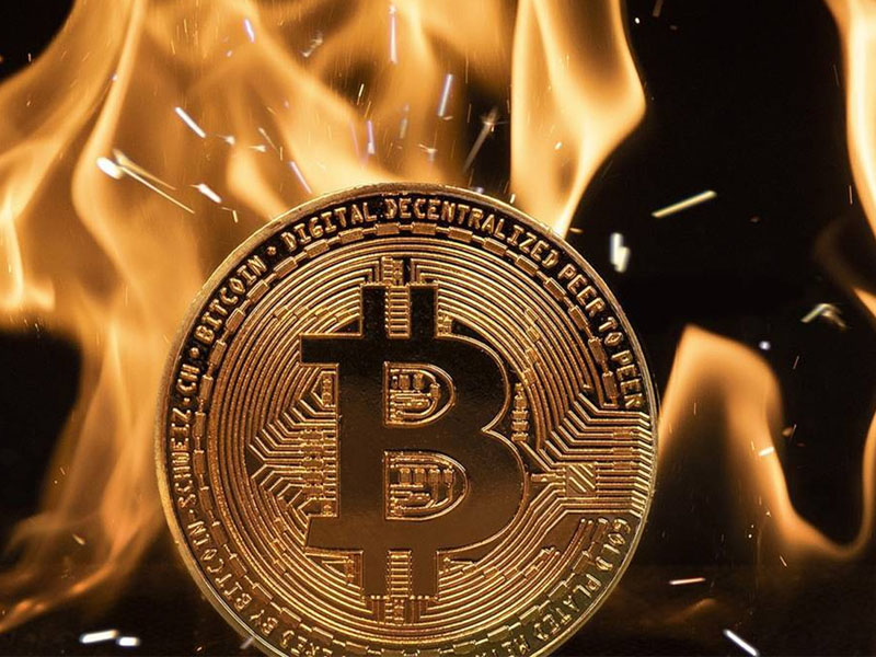 Tại sao cần phải biết cách check ví Crypto?
