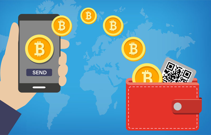 Cách check ví Crypto của TOP- holder