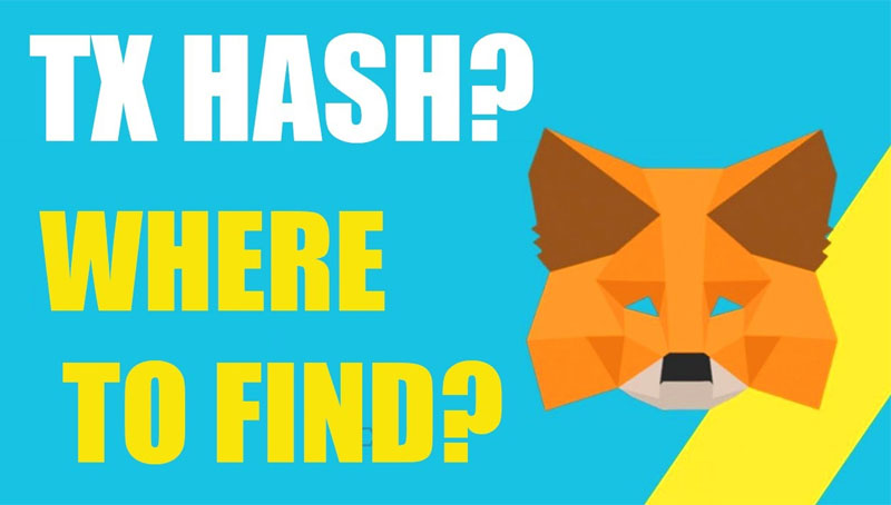 TX Hash là gì?