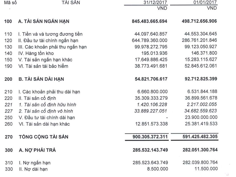 Các thông tin cần quan tâm trong bảng cân đối tài chính