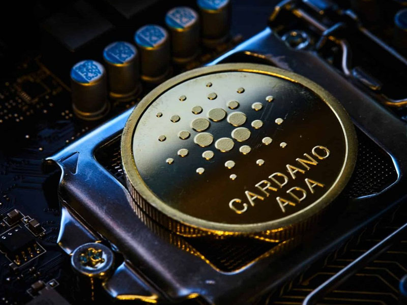 Cardano Vasil hard fork giải quyết vấn đề gì?