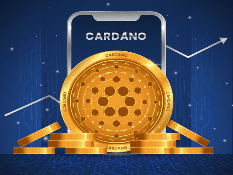 Cardano Vasil hard fork là gì?