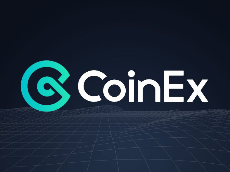 Cách sở hữu đồng CSPR Coin