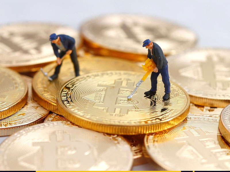 Xem thông tin về công ty, dự án coin giải quyết vấn đề gì?