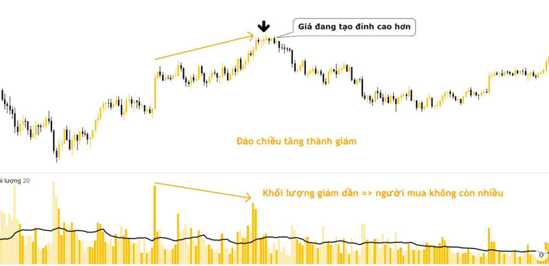 Xác định sự đảo chiều