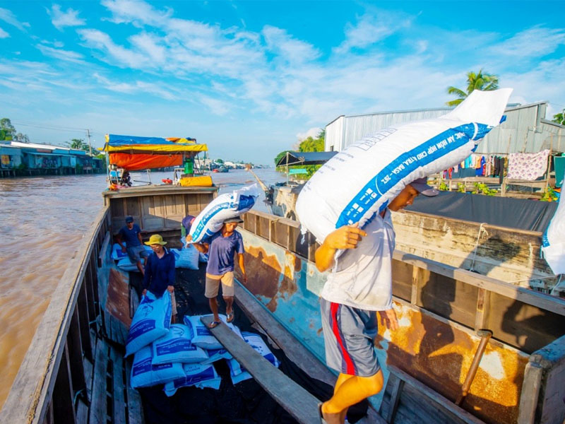 Lịch sử giá cổ phiếu ANV