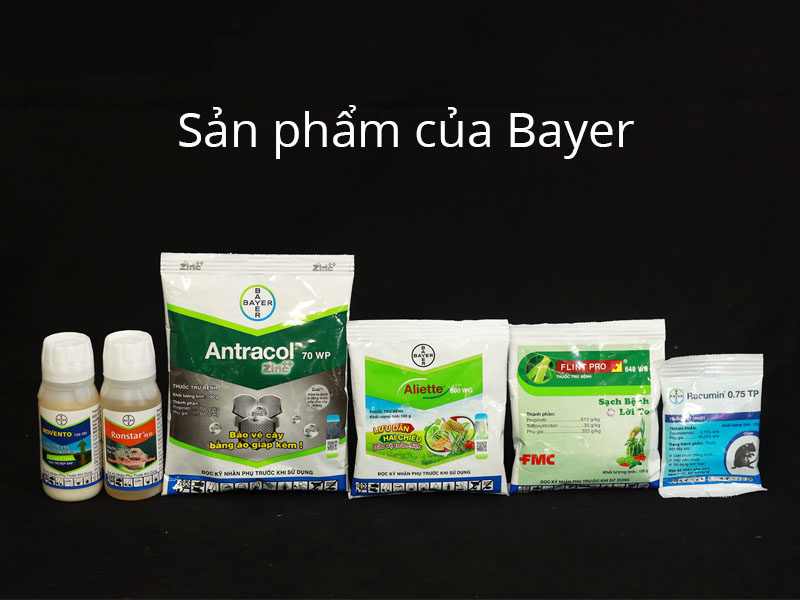 Cổ phiếu Bayer (BAYN) là gì?