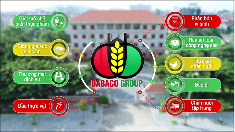 Nhận định đánh giá cổ phiếu DBC trong năm 2022