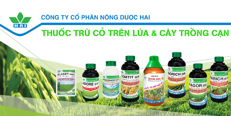 Nhận định đánh giá cổ phiếu HAI trong năm 2022