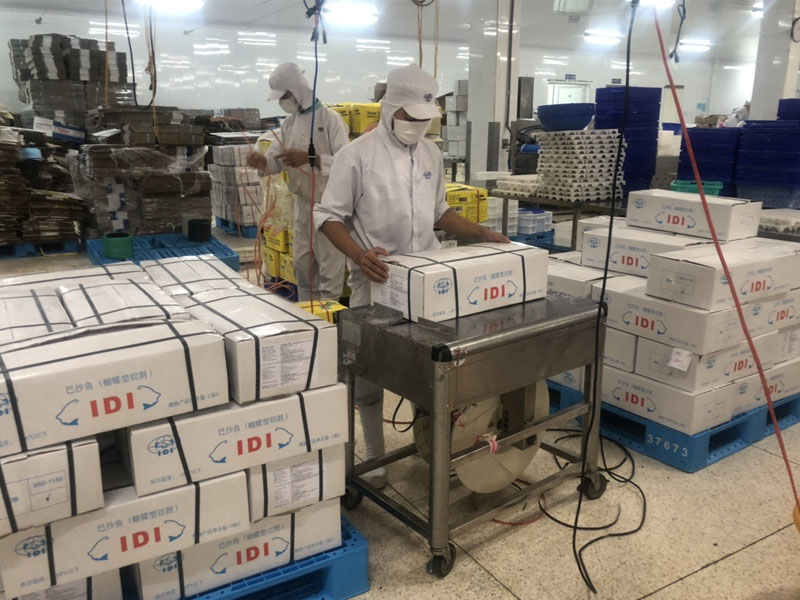 Nhận định đánh giá cổ phiếu IDI trong năm 2022