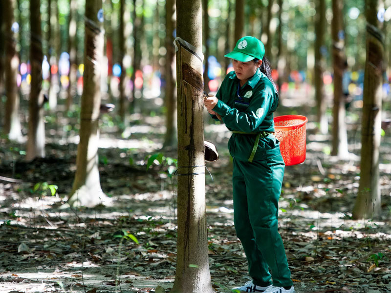 Nhận định đánh giá cổ phiếu PHR trong năm 2022