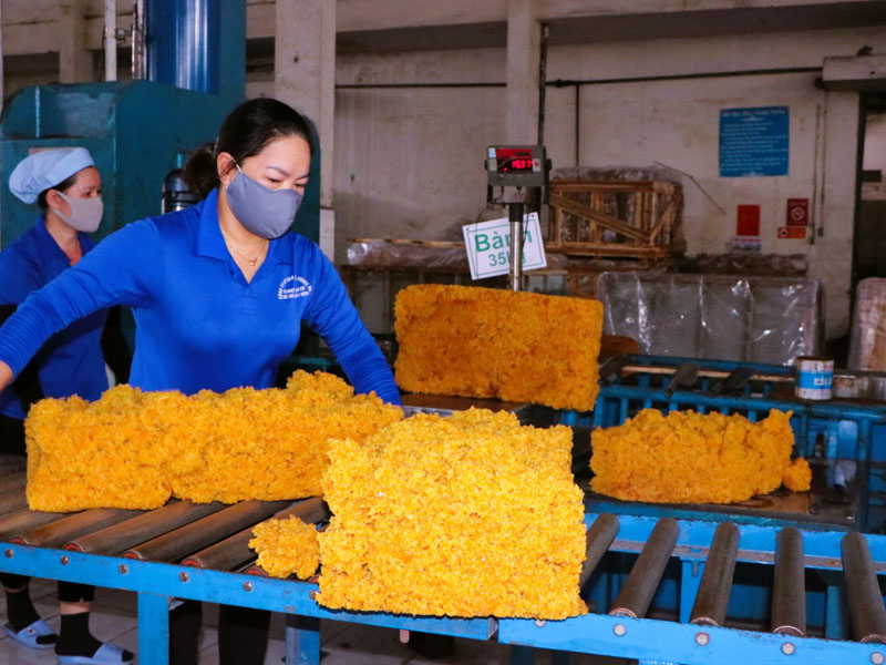 Đôi nét về Công ty Cổ phần Cao su Phước Hòa