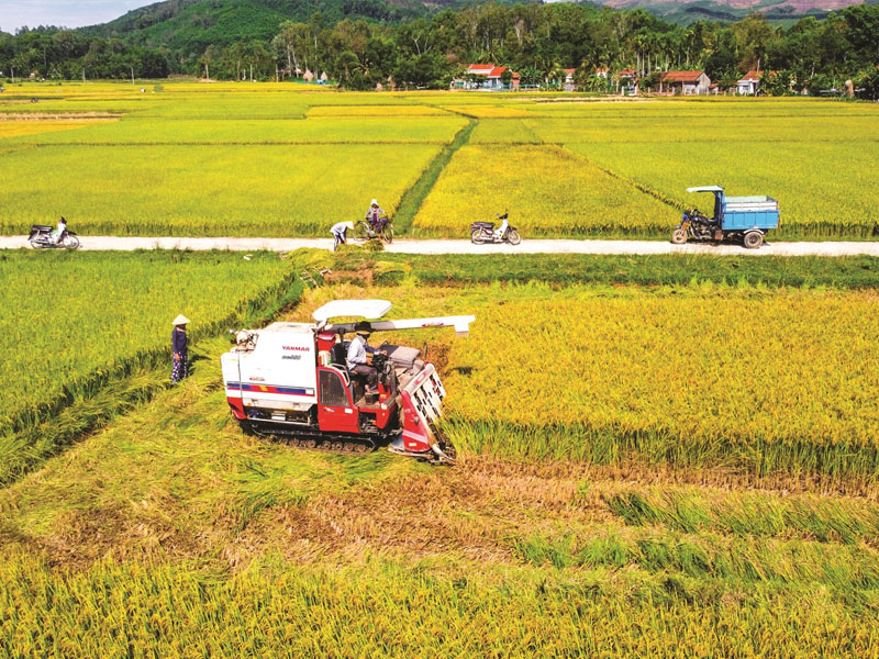 Nhận định đánh giá cổ phiếu TSC trong năm 2022