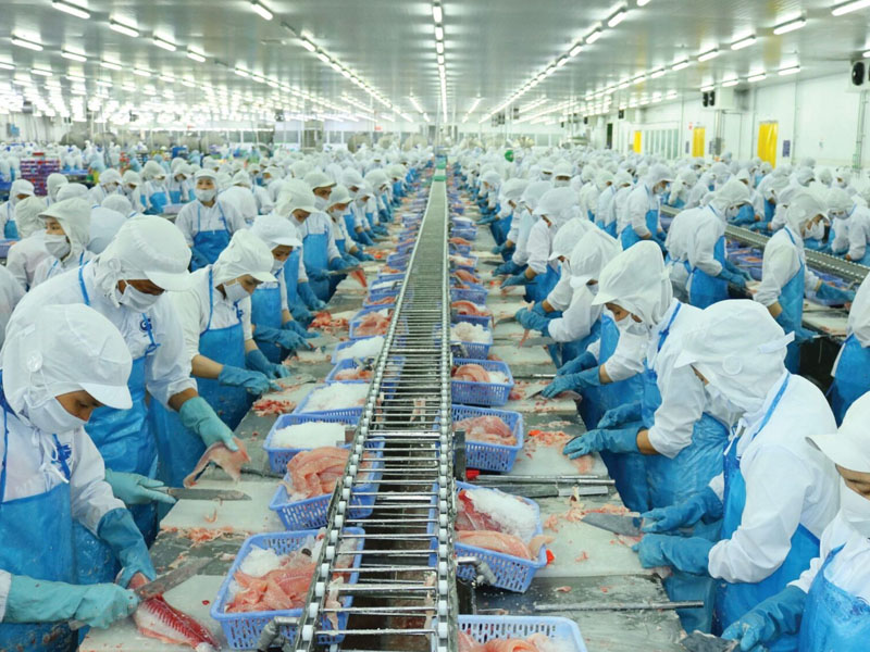 Đôi nét về công ty cổ phần Vĩnh Hoàn