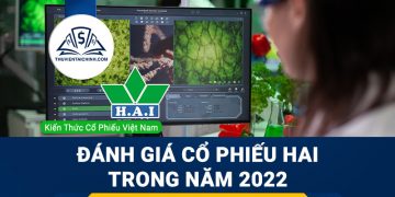 Nhận định đánh giá cổ phiếu HAI trong năm 2023