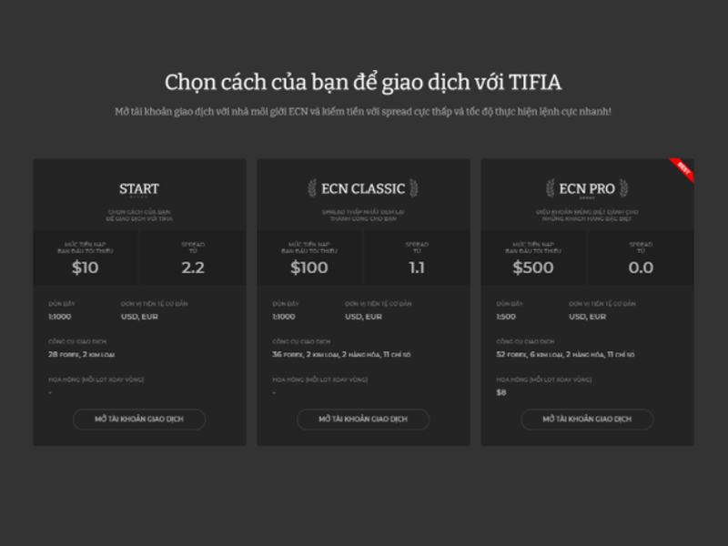 Các loại tài khoản đầu tư trên sàn giao dịch Tifia
