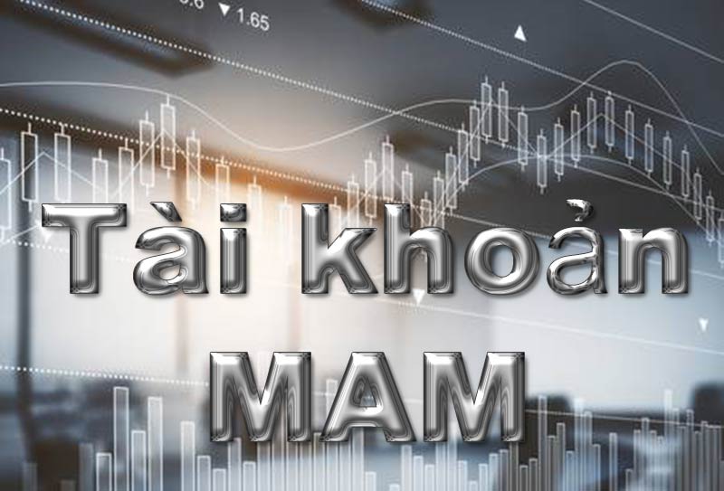 Tài khoản MAM của sàn Hantec