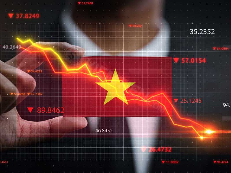Bạn có phải là nhà đầu cơ?