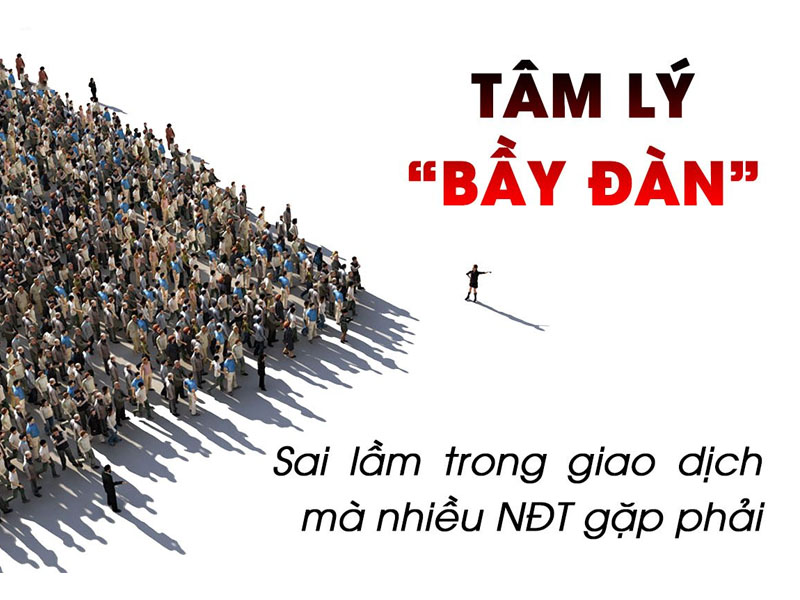 Trader cần tránh các thói quen đầu tư “xấu” nào?