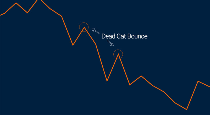 Cách nhận biết mô hình Dead Cat Bounce