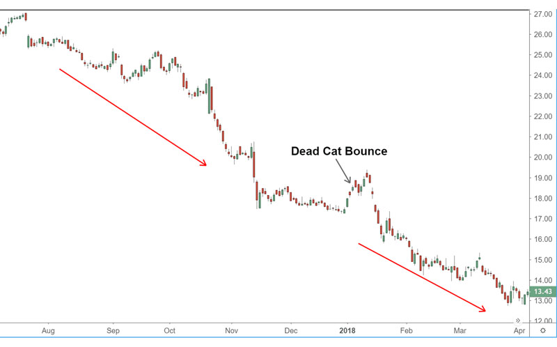 Dead Cat Bounce là gì?