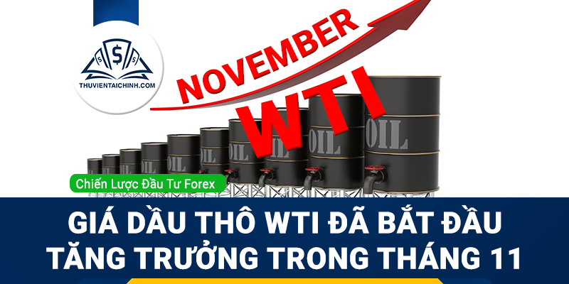 Giá dầu thô WTI đã bắt đầu tăng trưởng trong tháng 11?