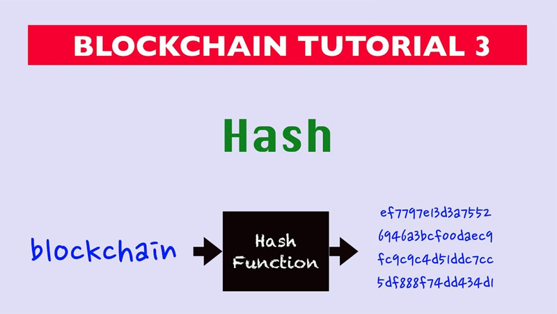 Hash là gì?