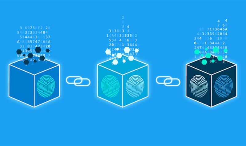 Tại sao Hashing trong Blockchain có thể hạn chế được tội phạm lừa đảo?