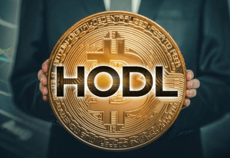 Tìm hiểu Hold Coin là gì?