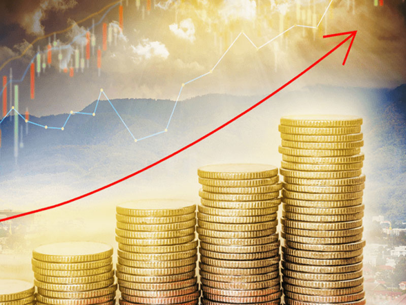 Cách mua cổ phiếu ưu đãi tại công ty phát hành