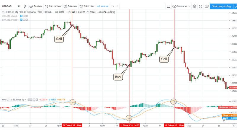 Hướng dẫn sử dụng phân kỳ MACD khi đường MACD cắt với đường tín hiệu