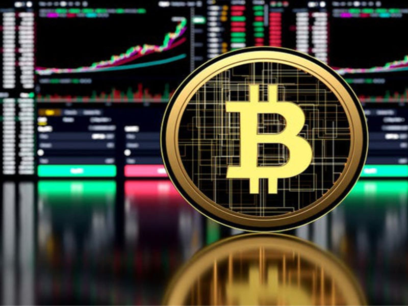 Sự tăng trưởng Bitcoin trong thời gian qua