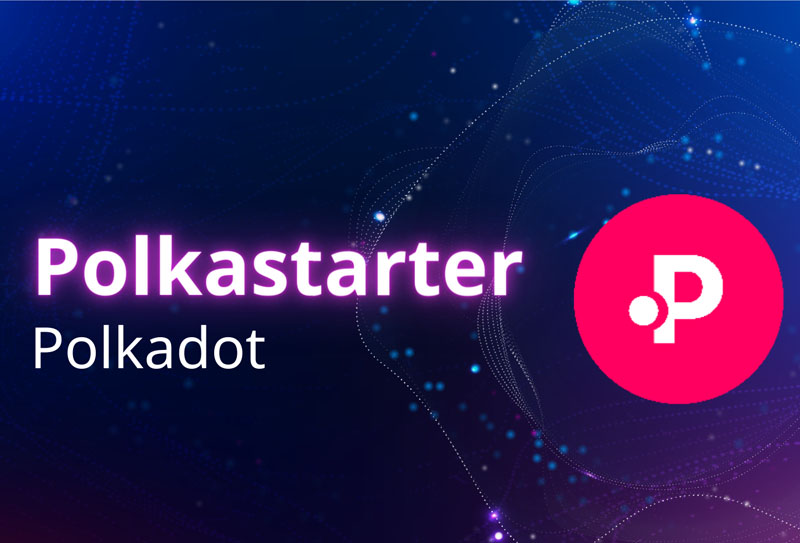 Polka Starter