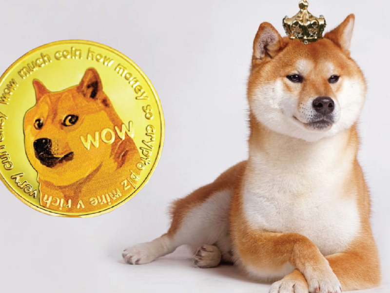 Đặc điểm của dự án Meme coin