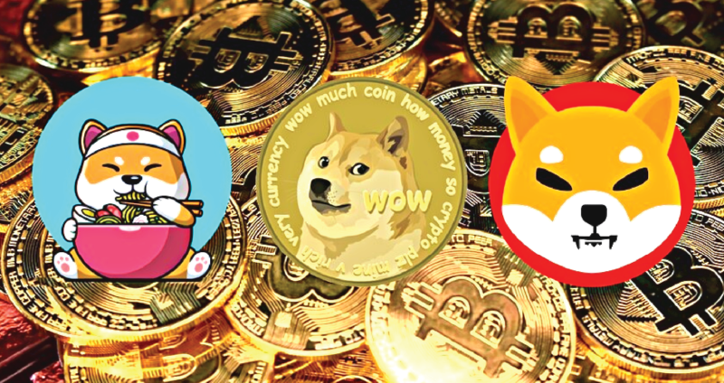 Tìm hiểu Meme coin là gì?