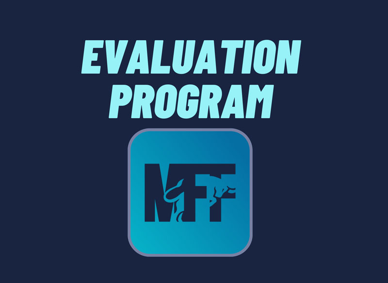 Tài khoản Evaluation